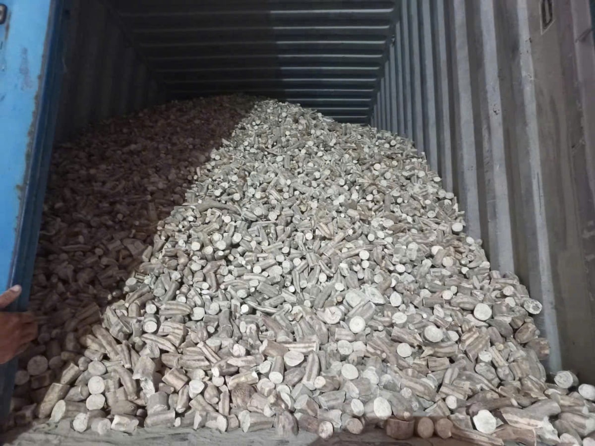 Agricultural cargo loaded in a container
