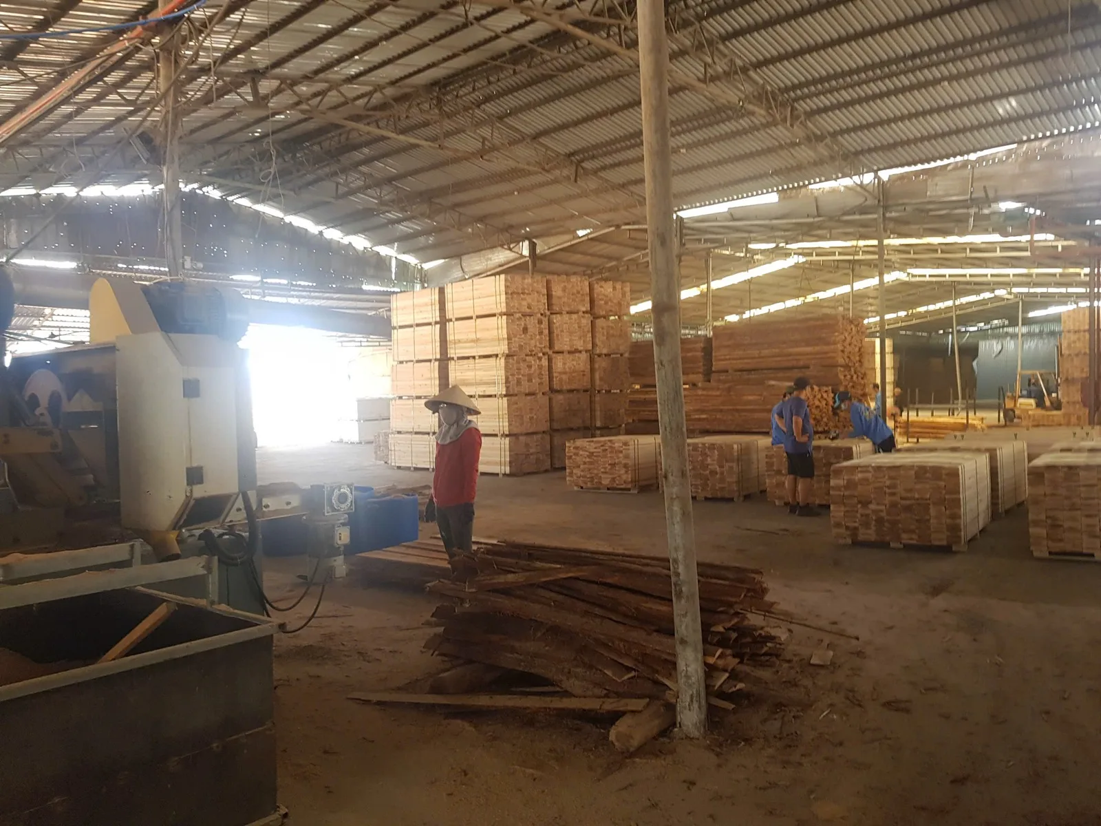 Các lô gỗ được tập kết tại cơ sở chế biến